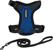 Voyager Step-in Lock Adjustable Cat Harness w. Cat Leash Combo Set with Neoprene Handle 5ft - Supports Small, Medium and Large Breed Cats by Best Pet Supplies - Royal Blue/Black Trim, XXS