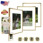 Versatile 16x20 Gallery Frame Set - Display 11x14 or 16x20 Art - Elegant Bronze