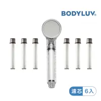 在飛比找momo購物網優惠-【BODYLUV】純淨完美蓮蓬頭+純淨完美蓮蓬頭濾芯6入(一