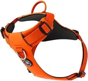 BullyBillows Air Mesh Dog Harness - Non-Restrictive, Ultra Soft, Adjustable, Anti-Pull Design with Handle - Perfect for Any Dog Breed | Orange | Small
