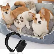SustVita Pet Collar Camera, 120° Wide Angle Lightweight Mini Action Camera with Back Clip for Dogs Cats, OTG Connection Sports Body Camera (Black)