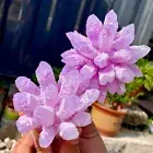 494G New Find Pink Purple Phantom Quartz Crystal Cluster Mineral SpecimenHealing
