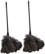 2pcs Computer Duster Gentle Touch Duster Ostrich Brush Durable Duster Feother Dust Brush Plumes Natural Duster Mini Pluma Long Handled Duster Chick Ceiling Fan