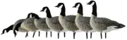 Avian X Outfitter Pack AXF Lessers Decoy, AVX-AVX9033 Hunting - Decoys