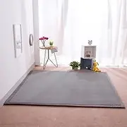 Coral Velvet Rug for Bedroom Dormitory Yoga,Home Decor for Living Room,Educational Classroom Nursery Bedroom Crawling Mat Non-Slip Rug 2cm-J- 120 * 180cm