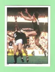 1983 SCANLENS VFL STICKER #137 ALLAN MARTELLO, RICHMOND TIGERS