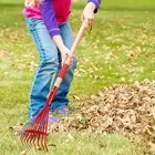 Leaf Shoveling Tool Kids Garden Rake with Lightweight Hardwood Handle for Leaves