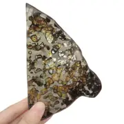 98.7g Brenham pallasite Meteorite slice - from USA TA52