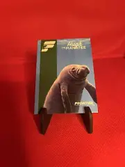 Frontier Airlines Trading Cards-Hugh The Manatee A320