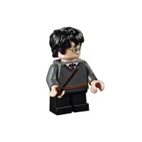 在飛比找蝦皮購物優惠-LEGO 哈利波特 人偶 哈利波特 Harry Potter
