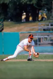 Bobby Grich Baltimore Orioles goes down to field a ground ball at- 1974 Photo