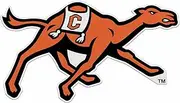 Rico Industries NCAA Campbell Fighting Camels Shape Cut Pennant - Home and Living Room Décor - Soft Felt EZ to Hang