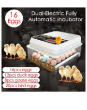 Egg Incubator Full Automatic Touch Temperature Control Farm Hatchery Machine