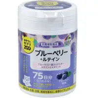 在飛比找蝦皮購物優惠-日本保養品-UNIMAT RIKEN ZOO 糖果營養補給錠