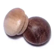 3/8" Walnut Wood Round Head Screw Hole Buttons (100 pcs.)