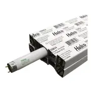 Halco 109804 (10 Pack) 2' T8 Fluorescent 17W 4100K Cool White G13 Medium Bi-Pin