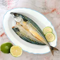 在飛比找蝦皮購物優惠-【漁品軒-冷凍】挪威薄鹽鯖魚 (整尾)