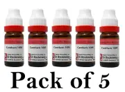 5X Dr Reckeweg Cantharis 10M CH Dilution 11ml Each