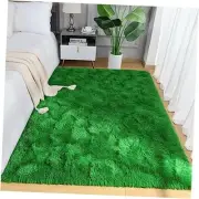 Luxury Soft Shaggy Rugs Carpets, 3x5 Feet Bedroom Rug Indoor Plush Area Rugs