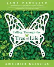 FALLING THROUGH THE TREE OF LIFE BOOK Embodied Kabbalah Qabalah Jewish Mysticism
