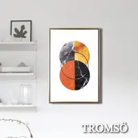 在飛比找momo購物網優惠-【TROMSO】北歐時代風尚有框畫-日月晨環WA174(無框