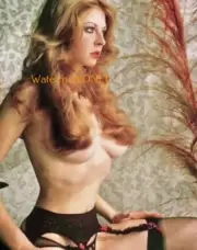 Cassandra Peterson "Elvira" "Mistress of the Dark" "BUSTY" "Pin-Up" PHOTO! #C22a