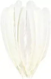 White Feathers,Natural Big Long Goose Feather,8-10 Inches (20-25Cm),Large Size B