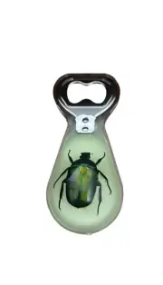 Bottle Opener with real insect -Green Rose Chafer Beetle- magnetic- lucite