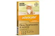 Advocate Cat & Kitten 0-4kg Orange Spot On Flea Wormer Treatment 3 Pack