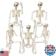 Halloween Skeletons Decorations, 16" Posable Plastic Skeleton 5 Packs, Full B