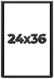 24x36 Shadowbox Gallery Wood Frames - Black DEEP Shadow Box Frame with a Display