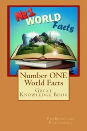 NUMBER ONE WORLD FACTS: A GREAT KNOWLEDGE BOOK FOR KIDS By The Brothers **NEW**
