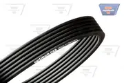 Optibelt Multi Groove Belt for Porsche 911 997 3.8L Petrol MA1.01 2009-2011