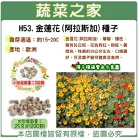 在飛比找樂天市場購物網優惠-【蔬菜之家】金蓮花(阿拉斯加)種子(共有2種包裝可選)