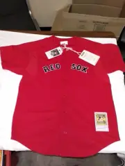 Mitchell & Ness Boston Red Sox David Ortiz #34 Baseball Jersey