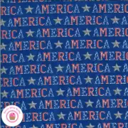 Moda AMERICA THE BEAUTIFUL 19983 14 Blue Red Text DEB STRAIN Quilt Fabric