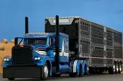 1/64 DCP PETERBILT 379 FLAT TOP W/ WILSON TRI AXLE CATTLE TRAILER