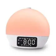 Sunrise Alarm Clocks White Noise Sound Machine with 25 Soothing Sounds, 17 Gray
