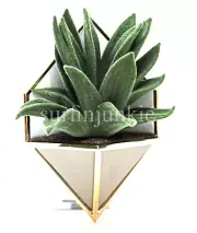 Bath & Body Works Wallflower Diffuser Unit Plug Gold Succulent Plant Geometric