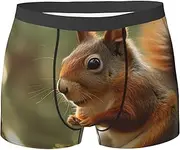 [QMNEHJ] Wildlife Forest Squirrel Men's Boxer Briefs Breathable Stretch Underwear Moisture-Wicking Trunks for Men
