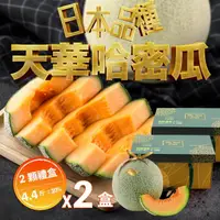 在飛比找momo購物網優惠-【果樹寶石】天華網紋哈密瓜兩顆禮盒x2盒（4-4.4斤/盒）