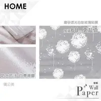 在飛比找PChome24h購物優惠-蒲公英 磨砂遮光自黏玻璃貼