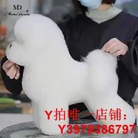 在飛比找Yahoo!奇摩拍賣優惠-MD貴賓泰迪骨架假毛頭模頭毛仿真假狗毛發