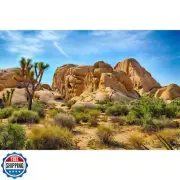 Reptile Tank Background Boulders Joshua Trees Aquarium Background Blue Sky De
