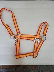Horze Cob Pony Strong Quality Adjustable Head Collar NEWMARKET YELLOW (FULL)
