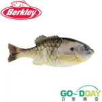 >日安路亞< BERKLEY POWERBAIT GILLY 鯛魚燒