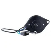 POWER TILT TRIM MOTOR FITS EVINRUDE OMC 982058 982706 PT201 PT201NM 6204 EVD4002