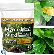 Plant Nutrient Powder - 100g Plant Growth Fertilizer Powder | Balanced Formula Planting Tool for Hydroponics, Mixed Culture, and Soil Culture