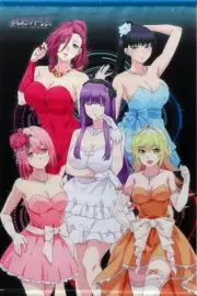 y3 Tapestry The World's End Harem Don Quixote B2 Anime Japan Collector