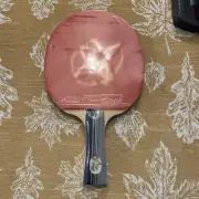 Vintage Official DHS 2 Star 2002 Ping Pong Paddle Table Tennis Racket+ SHC Cover